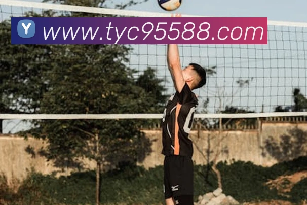 太阳城官网发展历程